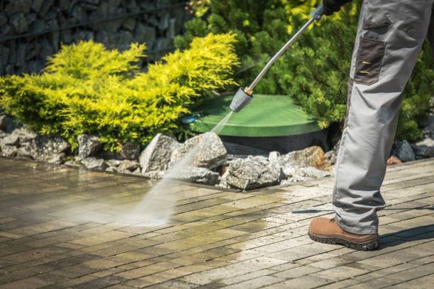 Best Dumpster Area Cleaning  in Olympia, SC